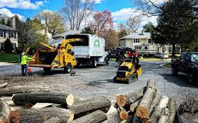 Best Tree Trimming and Pruning  in Cheshire Village, CT