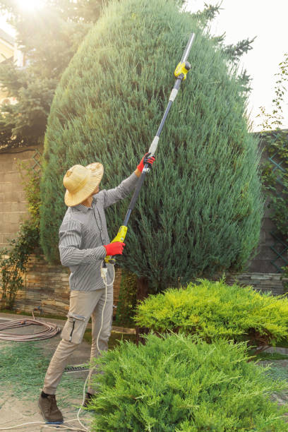 Best Commercial Tree Services  in Cheshire Village, CT